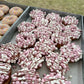 Assorted donuts with pink and white toppings on a tray outdoors.
