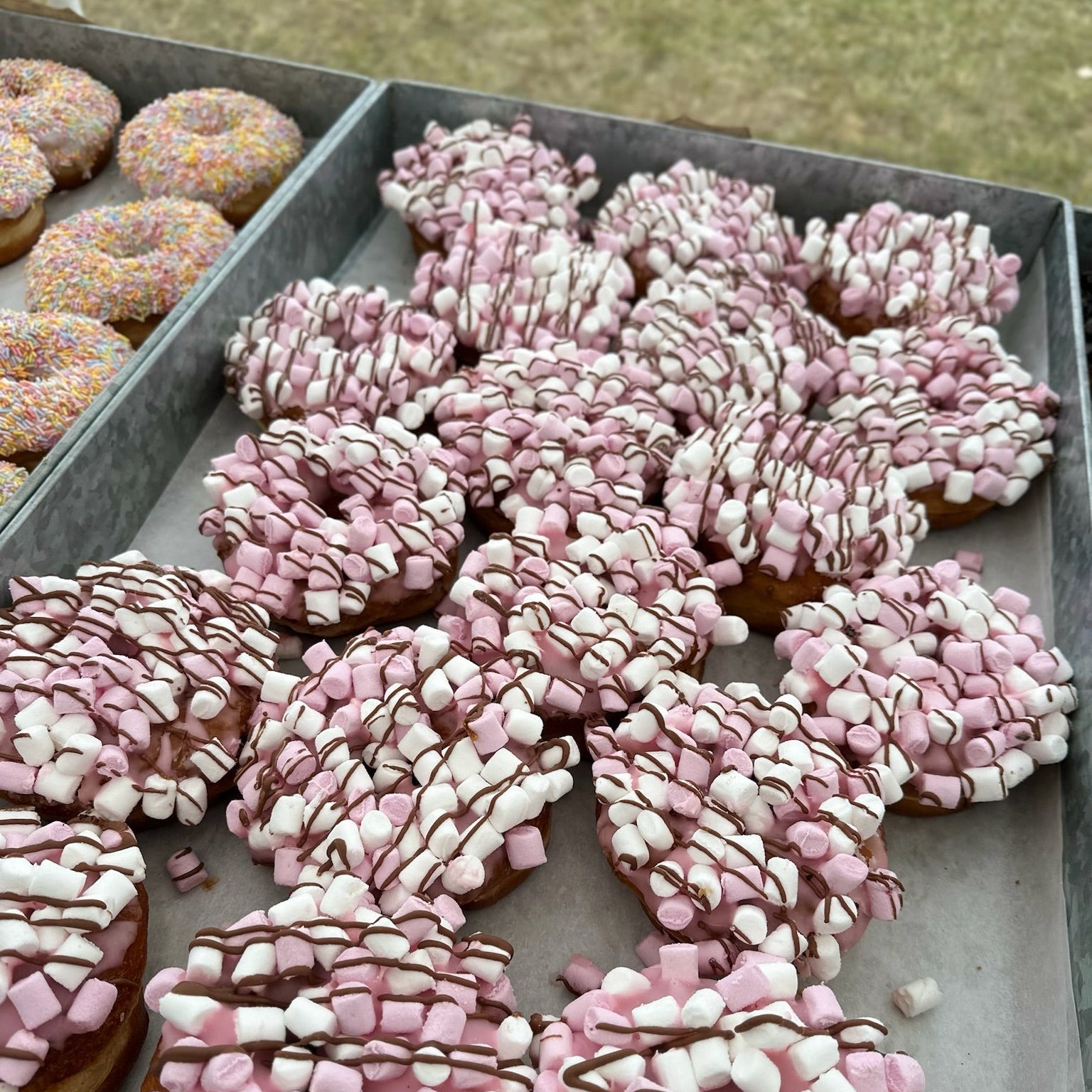 Assorted donuts with pink and white toppings on a tray outdoors.